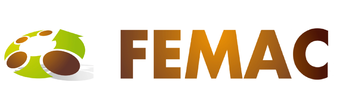 Enllacem al web https://www.femac.org/?lang=ca. S'obra en una finestra nova